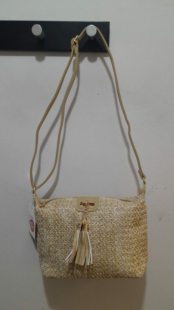 Bolso 2
