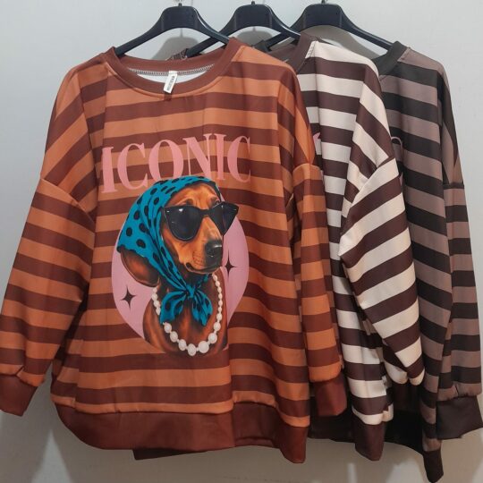Sudadera Iconic