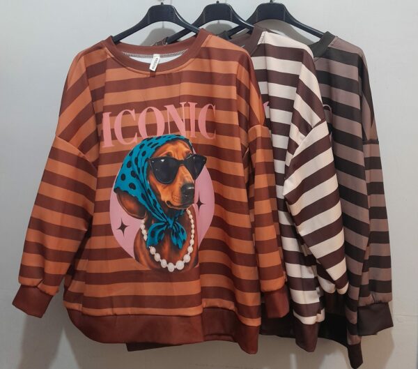 Sudadera Iconic